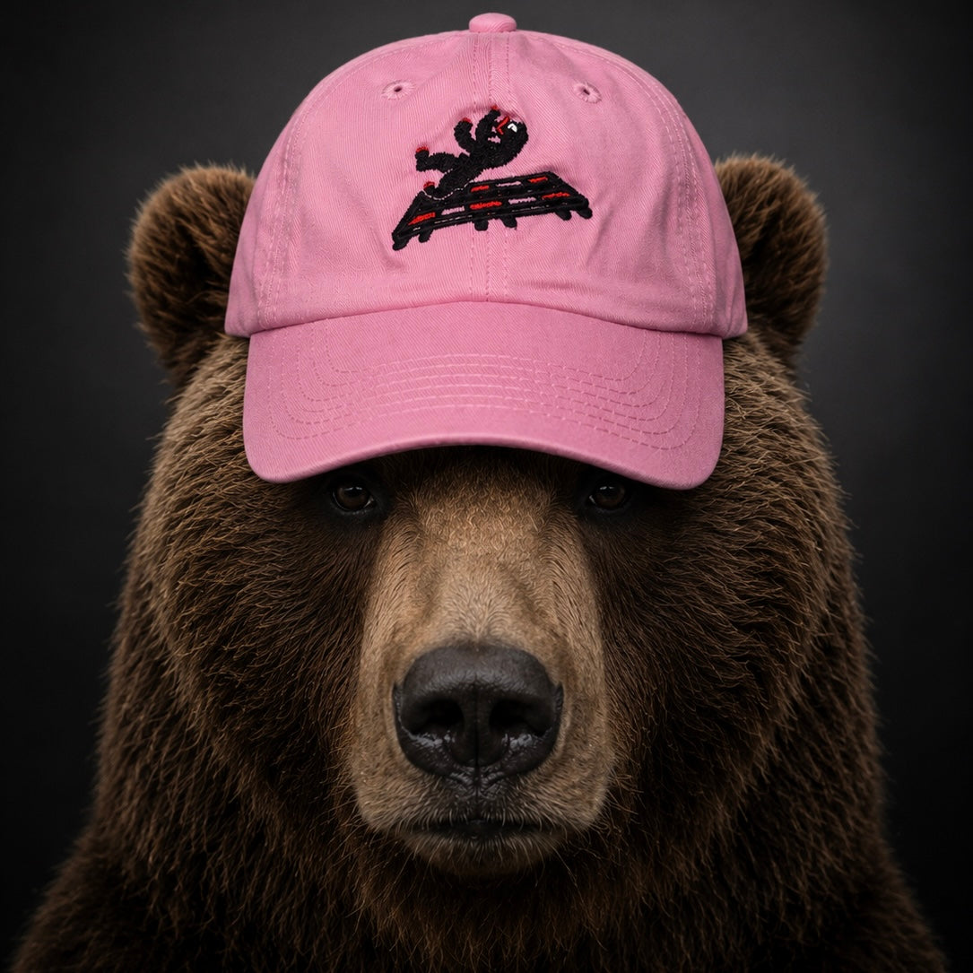 DIBB Cap