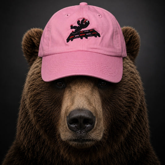 DIBB Cap
